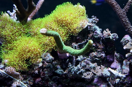 IMG_3186.JPG