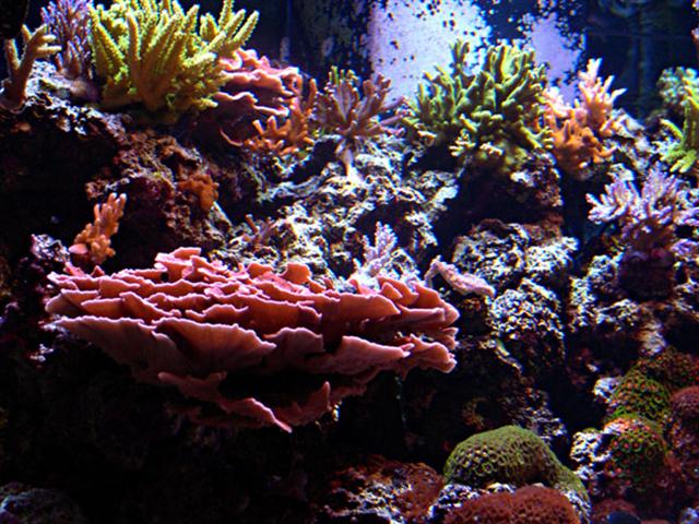 DSCN2777 (Small).jpg