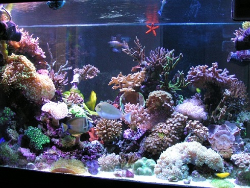 PICT1321.JPG