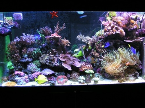 PICT1333.JPG