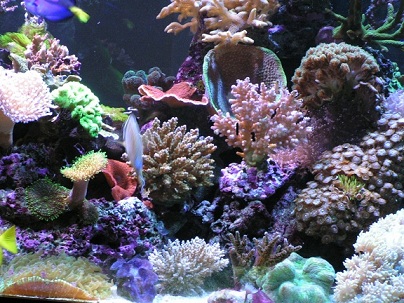 PICT1341.JPG