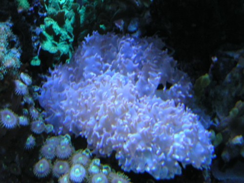 PICT1352.JPG
