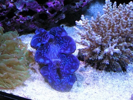 PICT1367.JPG