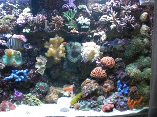 A3 (Medium).JPG