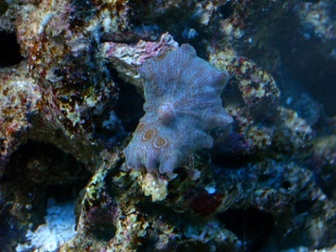 DSCN0973.JPG