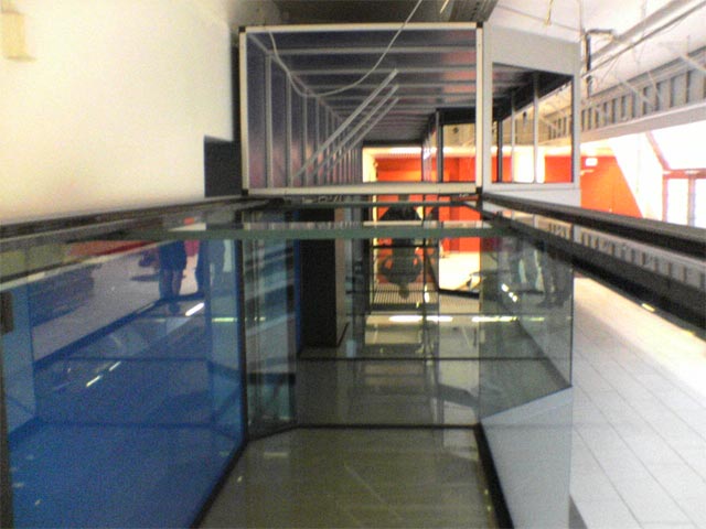 DSC01462.jpg