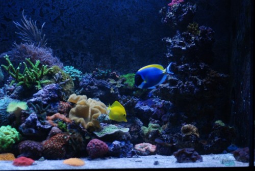DSC_0784 [800x600].jpg