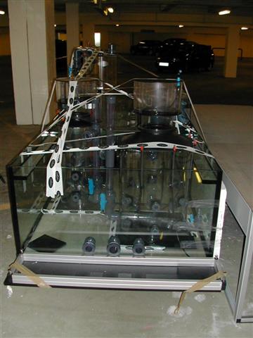 Akvarie stor c. nord 009 (Small).jpg