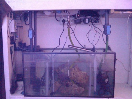 IMG_0082 (Large).jpg