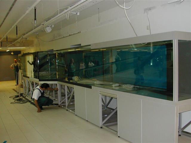 Akvarie stor c. nord 005 (Small).jpg