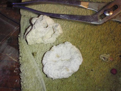 frag-time 012 (Small).jpg