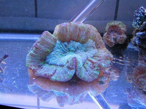 PICT1381.JPG
