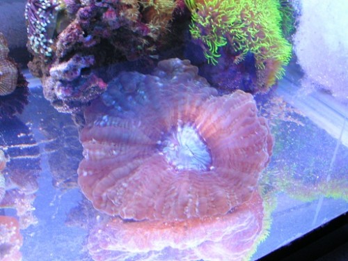PICT1383.JPG