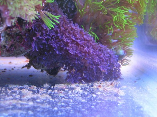 PICT1391.JPG