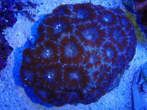 frag-time 024 (Small).jpg
