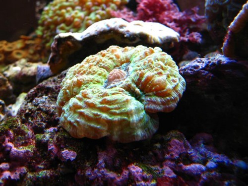 IMG_4386 (Medium).JPG