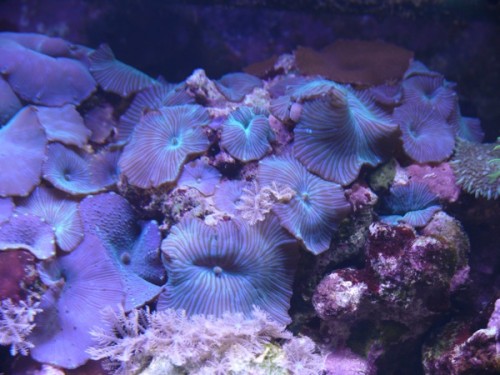 L1020129.jpg