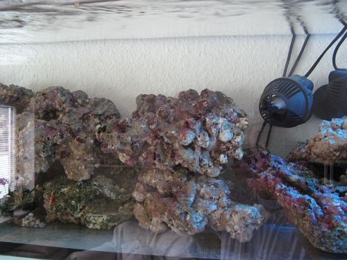 foto4.jpg