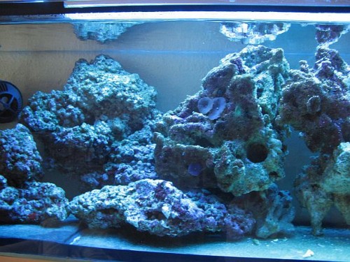 foto3.jpg