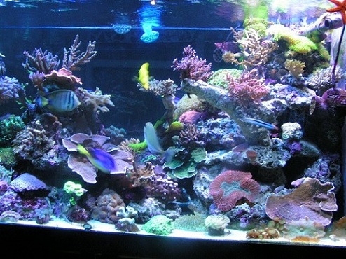 PICT1420.JPG