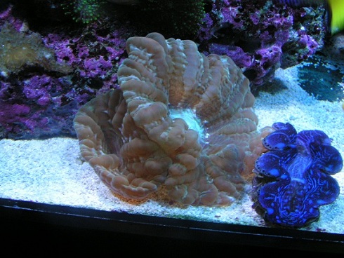 PICT1426.JPG