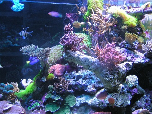 PICT1431.JPG