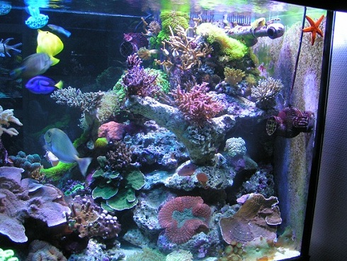 PICT1434.JPG