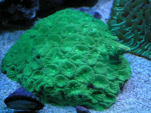 PICT1463.JPG