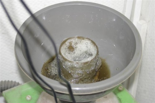 Skummer 12-02-10 001 (Medium).jpg