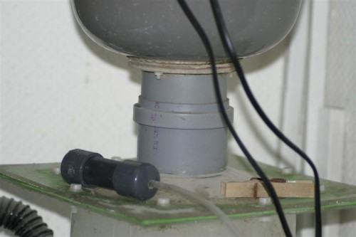 Skummer 12-02-10 003 (Medium).jpg