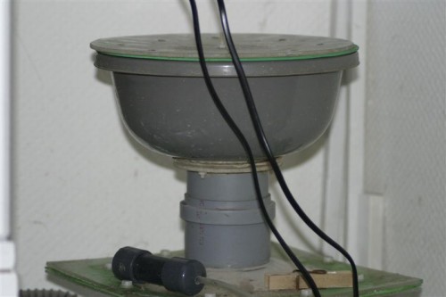 Skummer 12-02-10 004 (Medium).jpg