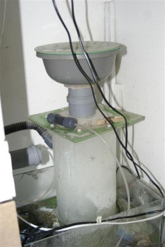 Skummer 12-02-10 011 (Medium).jpg