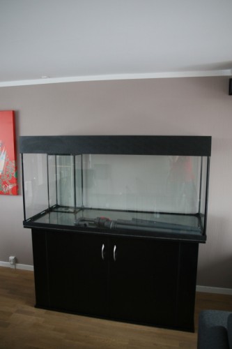 Mortens kamera 098_small.JPG