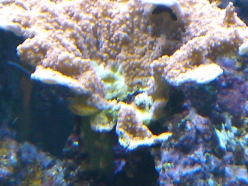 DSC00292.JPG