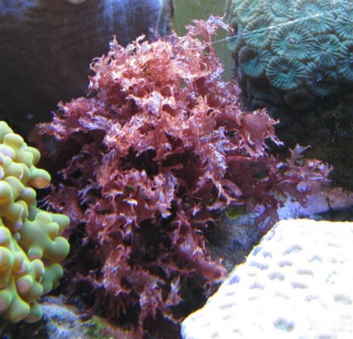 IMG_4401 (Medium).JPG