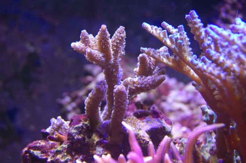 17 feb. 2010