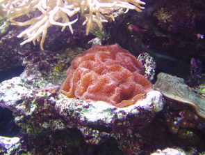 P1010009_resize.JPG