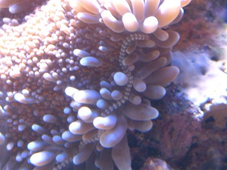 DSCN1019.JPG