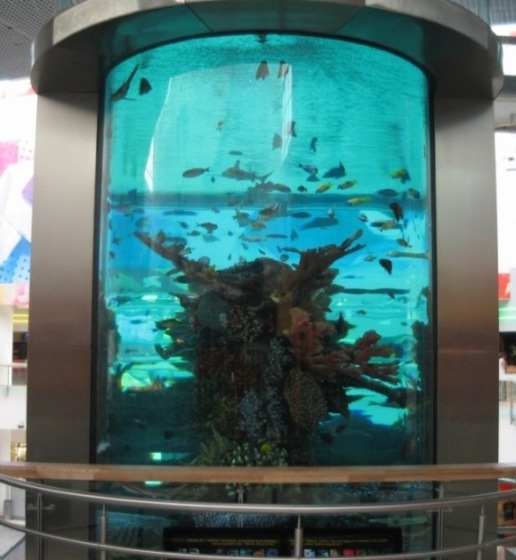 res_IMG_2780.JPG