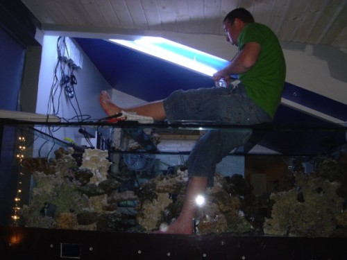 37.jpg (75.56 KiB) Vist 1940 gange han er for fed til at lave stenopsætning