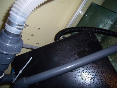 P2270007 (Medium).JPG