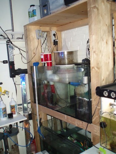 sump til skummer, rowaphoss, filtervat