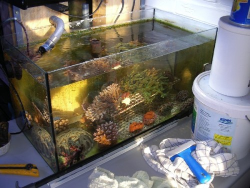 241.jpg (118.44 KiB) Vist 1940 gange mit lille fragment akv