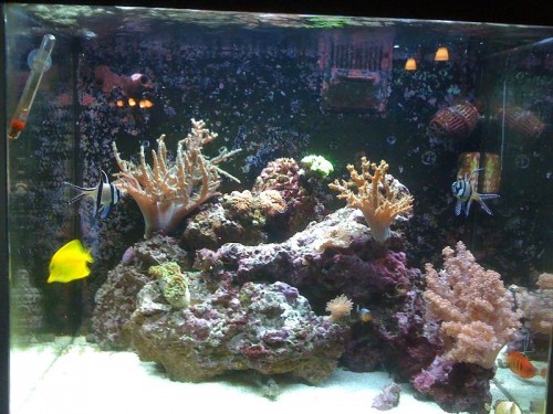 ældre billede af mit RSM 130