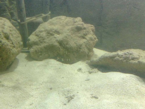 12032010520.jpg