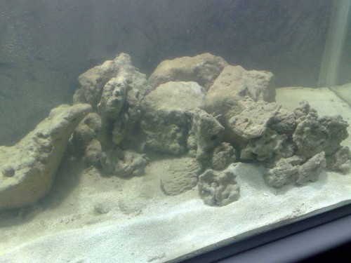 12032010521.jpg