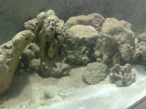 13032010522.jpg