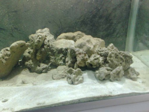 13032010524.jpg