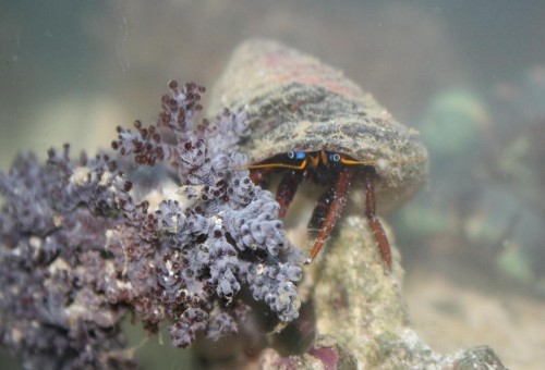 IMG_4759.JPG