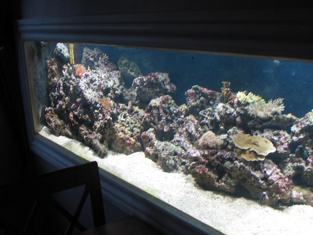 IMG_2437.jpg